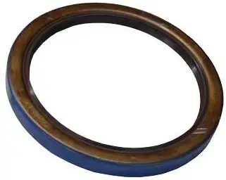 2-7/8'' Vitron Hub Seal With Steel Ring
