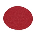 8" Sanding Disc, 24 Grit, 5 Pack