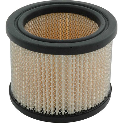 Allstar Filter For Fresh Air Pump