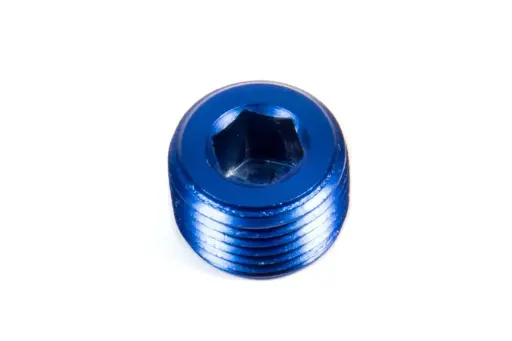 [FPS 493207] 1" NPT Plug Allen Head