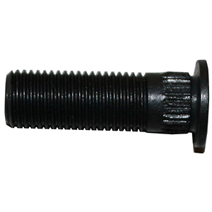 [BER 313] Bert Starter Stud-Ber 313